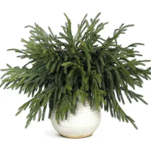 20 count Christmas Norfolk Pine Branches -18" Real  Artificial Norfolk Pine Branch Faux  Stem  Greenery Pine Picks for Vase DIY Crafts Garland Wreath  Indoor Outdoor Decoration