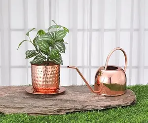 Glytterati - Decorative Watering Can and Planter with Plate