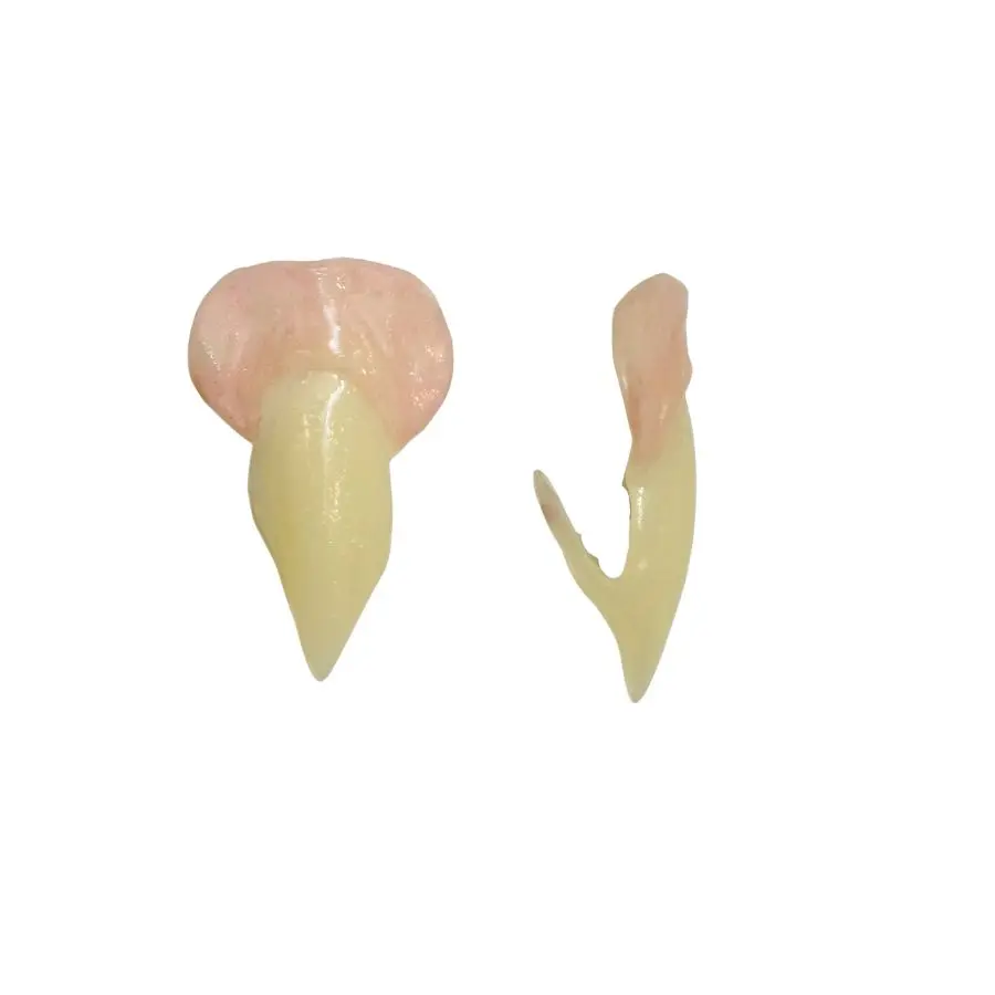 Designer Bite Co. Feline Vampire Fangs Realistic Hand-Crafted Teeth for Cosplay Halloween Reusable No Glue Kit Spooky