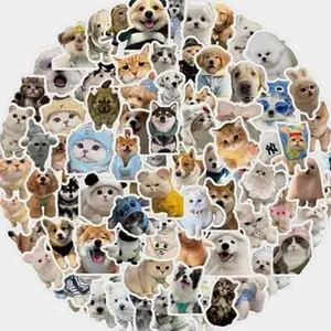 Random Funny Stickers for Adults Waterproof Vinyl Sarcastic Meme Decals for Laptop Water Bottle Hard Hats  Kindle Journal Scrapbook Bumper Skateboard Luggage No Repeats