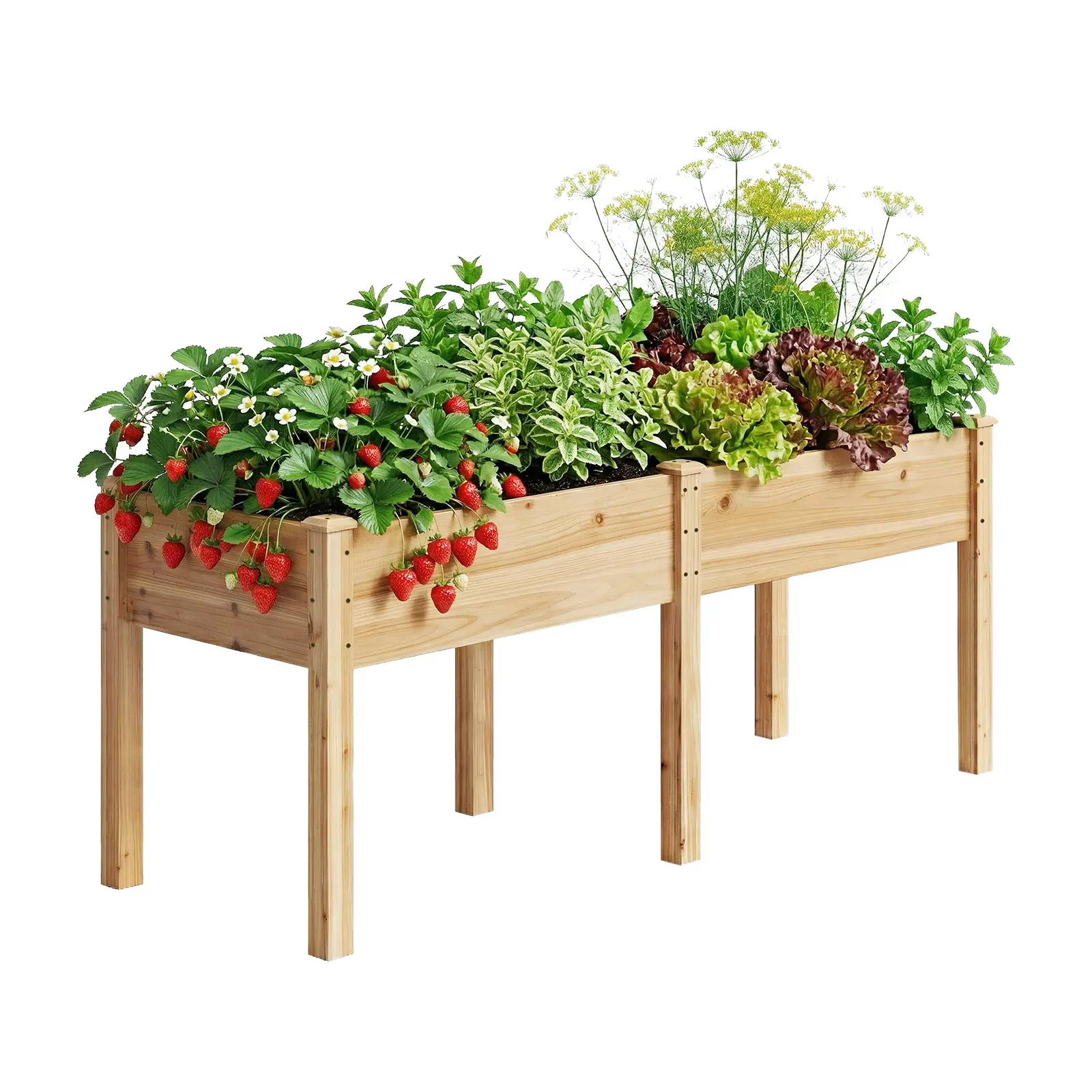 Wooden Raised Garden Bed, 72"x26"x30" Outdoor Elevated Planter Box with Divider Panel & Drainage Holes, Standing Growing Bed for Gardening Vegetables