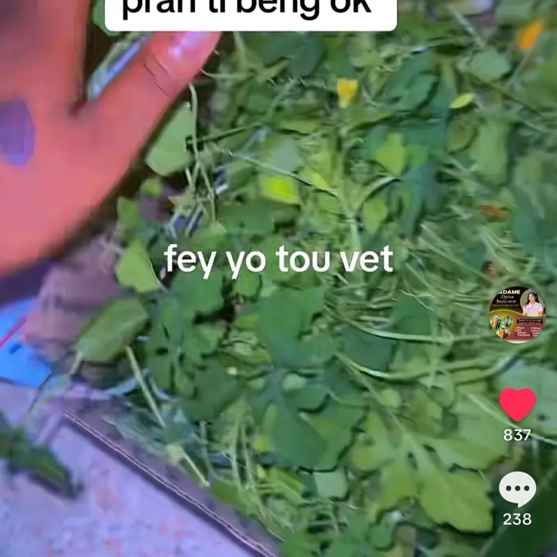 Fey ti beng