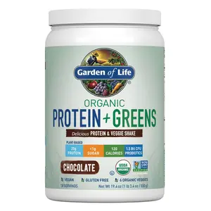 Garden of Life Organic Vegan Protein + Greens Plant Based Shake Mix Powder - Chocolate - 19.4oz