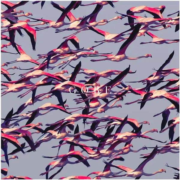 Deftones - Gore  [VINYL RECORD - LP]