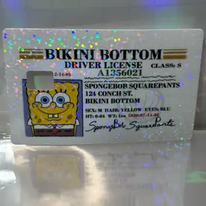 Cartoon Driver’s License Debit/Credit Card Skin