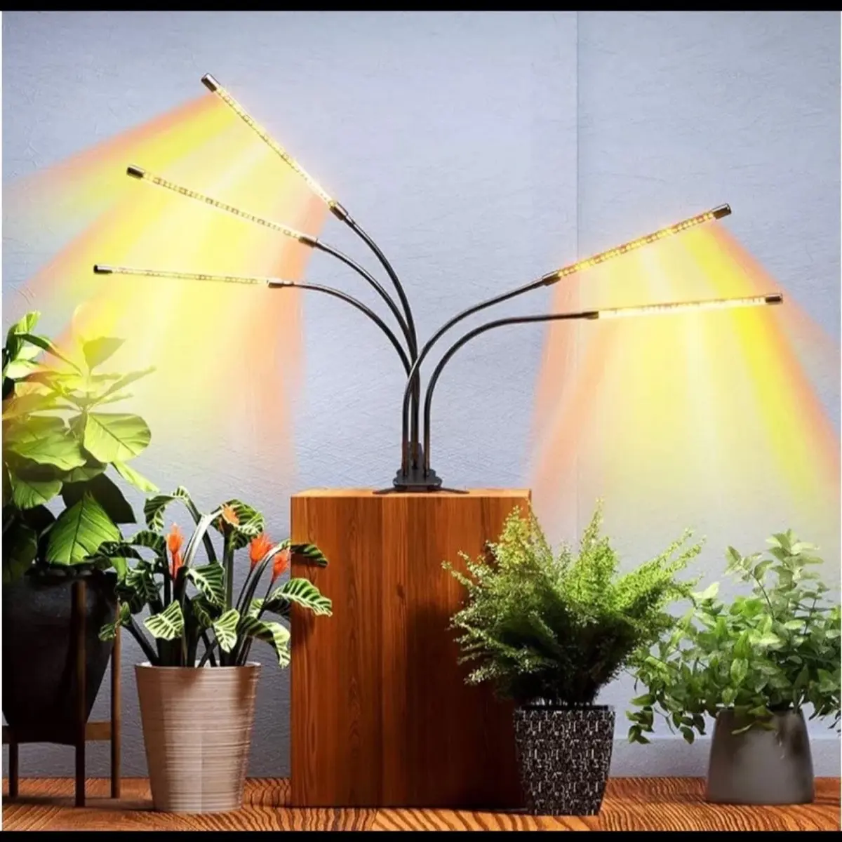 DICCEAO 150W Full Spectrum LED Grow Light for Indoor Plants (5 Heads White)  - TikTok Shop