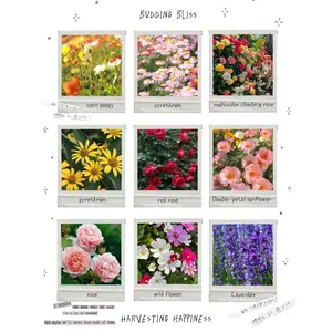 【2026 US Spring Glow Up】BuddingBliss Mixed flower seeds-Multicolor climbing rose / Red rose / Bonsai bowl lotus / Wildflower / Lavender / Sunflower / Pyrethrum / Corn poppy