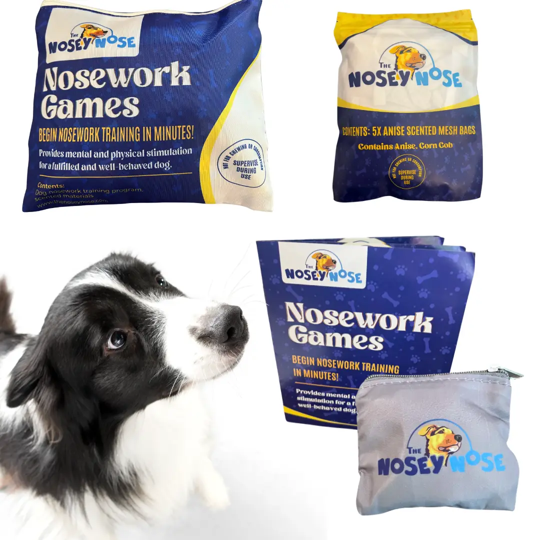 The Nosey Nose Dog Nosework Scent Training Kit with 5 Anise Scented Zipper Pouches, Bag, and Instructional Brain Puzzle Games