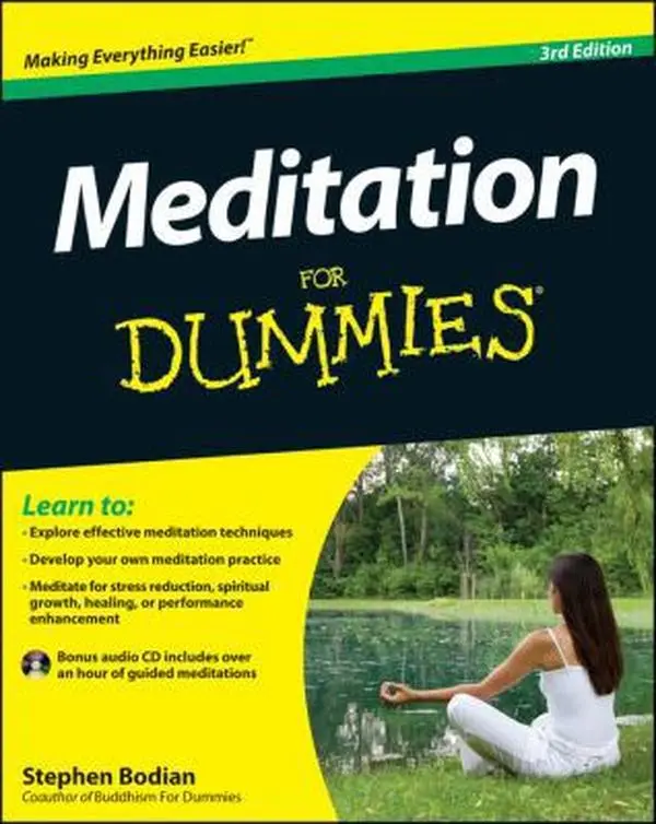 USED Book - Meditation for Dummies by Stephan Bodian (Paperback) - english