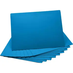 Flat File Jackets – No Expansion, Letter Size, Reinforced, Straight Cut, Tabs, 10-Pack