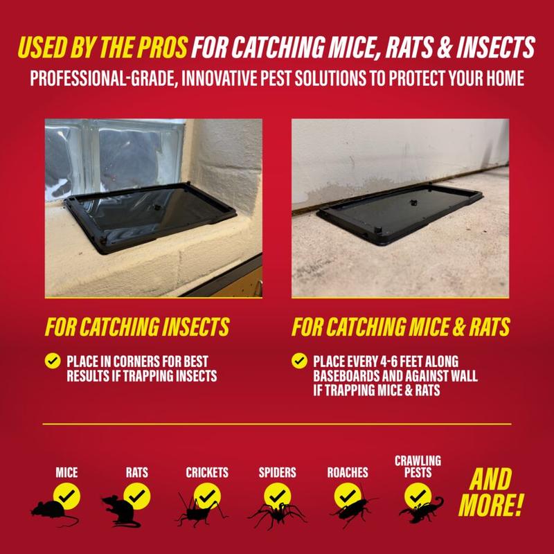 Non-Toxic Rat, Mouse & Insect Glue Traps