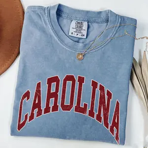Comfort Colors Carolina T-Shirt Vintage Look South Carolina Crewneck Carolina Gamecocks Preppy Varsity Tee, South Carolina University Shirt, Comfort Colors Shirt