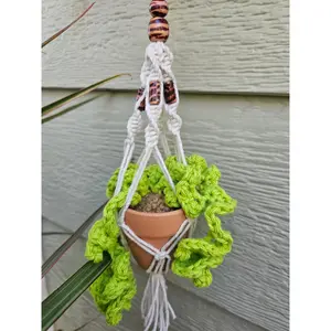 Crochet and Macrame Mini Hanging Potted Plant Decor Leaf