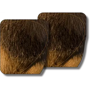 Bull Elk Frontal Vital Zone