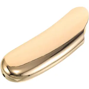 Lighter Case Compatible for Lighter, Curved Ergonomic & Mirror Cover (Gold Mini)