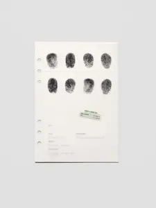 Identity Planner Dashboard Duo