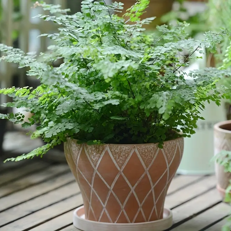 Large Diameter Breathable Clay Vintage Relief Garden Planter, Simple Personality Clay Pot, Courtyard Farmhouse Flower Pot