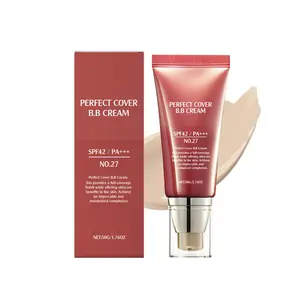 Natural Color Smooth Concealer Balm Foundation Bb Cream, Gentle Moisturizing Lightweight Hydrating Formula Brightening Matte Finish Natural Clear Portable Bb Cream