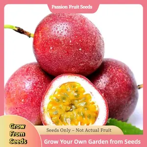 100 Pcs Organic Passion Fruit Seeds – Sweet Tropical Flavor, Fast-Growing Vines with Abundant, Fragrant Harvest