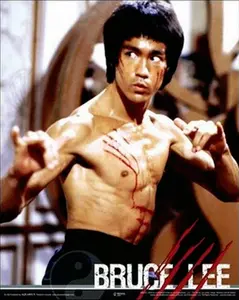 Bruce Lee Fight Pose Poster