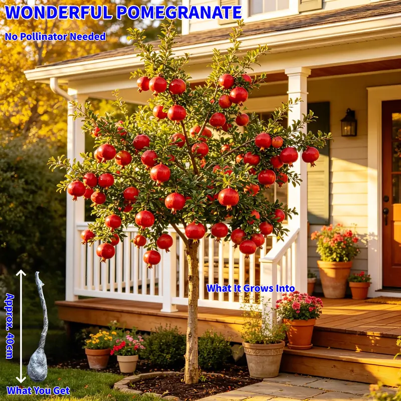 metal trellis for climbing plants Amagabeli 4 Pack Garden Trellis for Climbing Plants 47