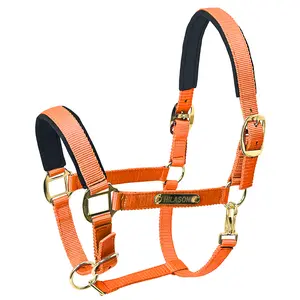 HILASON Western Safety Horse Halter Comfortable and Flexible | Nylon Halters Adjustable Cute