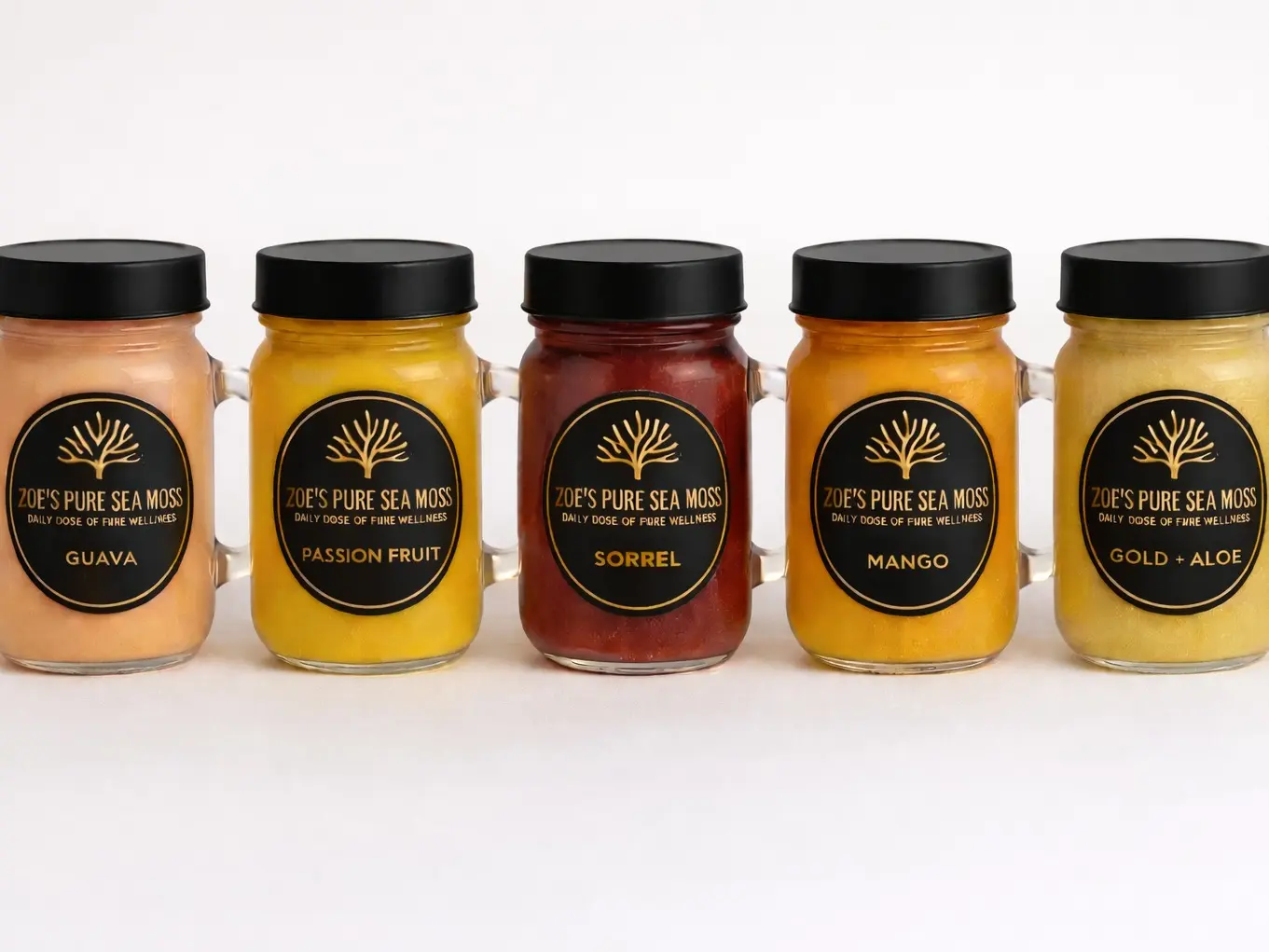 Zoe’s Pure Sea Moss Signature Sampler (5 Jars – 4oz Each)