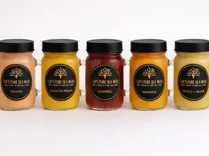 Zoe’s Pure Sea Moss Signature Sampler (5 Jars – 4oz Each)
