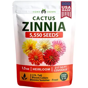Zinnia Cactus Mix Seeds - 5550 Flower Seeds for Spring Planting Outdoors 2026, Large Zinnia Flower Seed, Easy Grow Garden & Cut Flowers (Zinnia elegans)