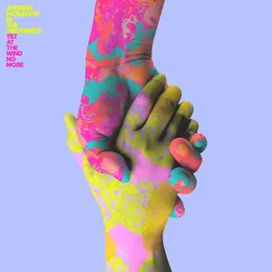 Andrew McMahon In The Wilderness - Tilt At The Wind No More  [COMPACT DISC - CD] Digipack Packaging