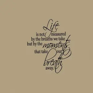 Motivational Quote Wall Sticker, Home Decor Decal for Bedroom Entryway Living Room Porch Hallway, Inspirational Life Saying in English