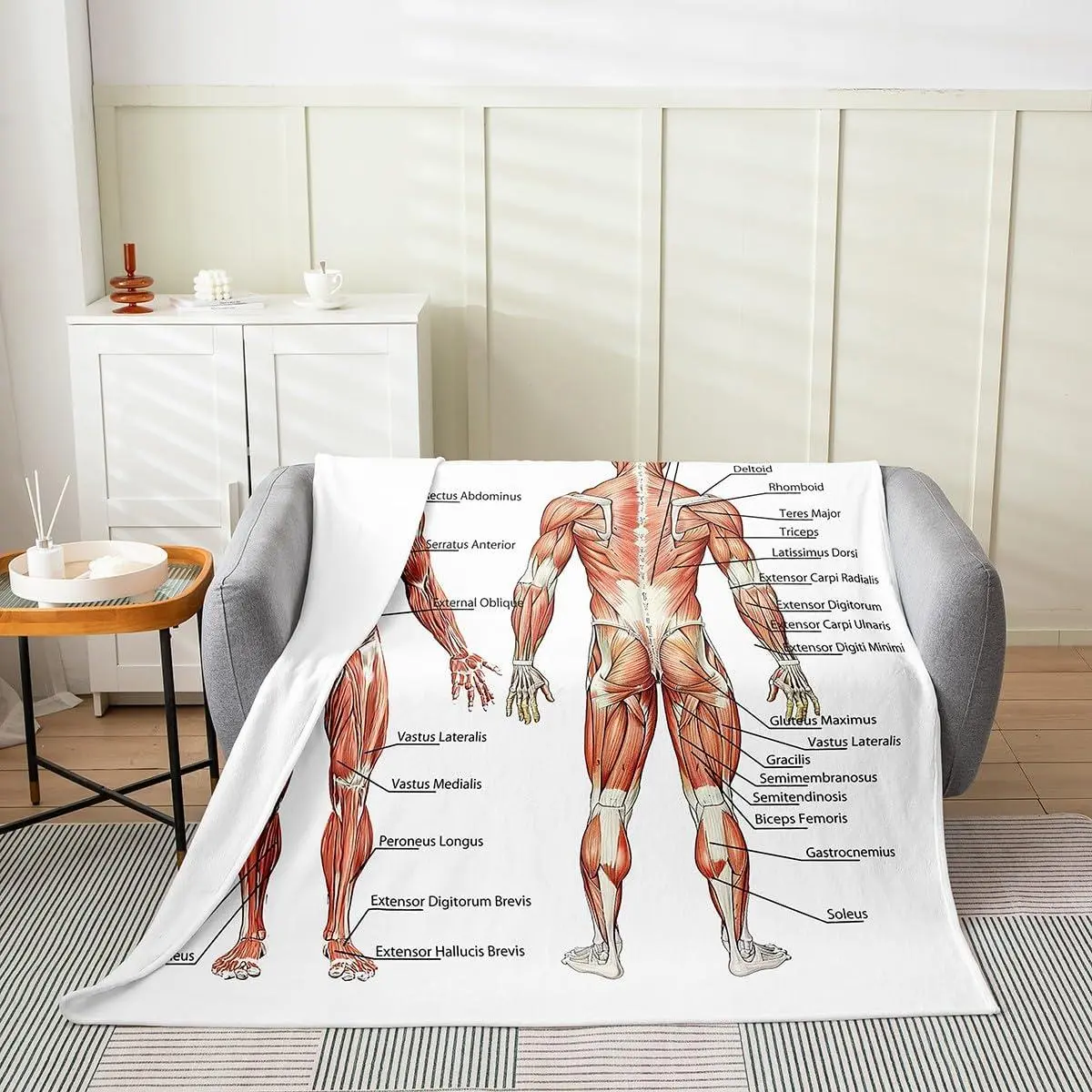 Human Anatomy Fuzzy Blanket Complete Diagram Different Organs Flannel Fleece Throw Blanket for Sofa Couch Kids Body Structure Cell Life Diagram All Season Bed Blanket White Plush Blanket Baby