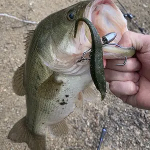 Fluke baits-Rated R Fishing Lure for Bass Fishing with Durable Hook and Realistic Bait Design