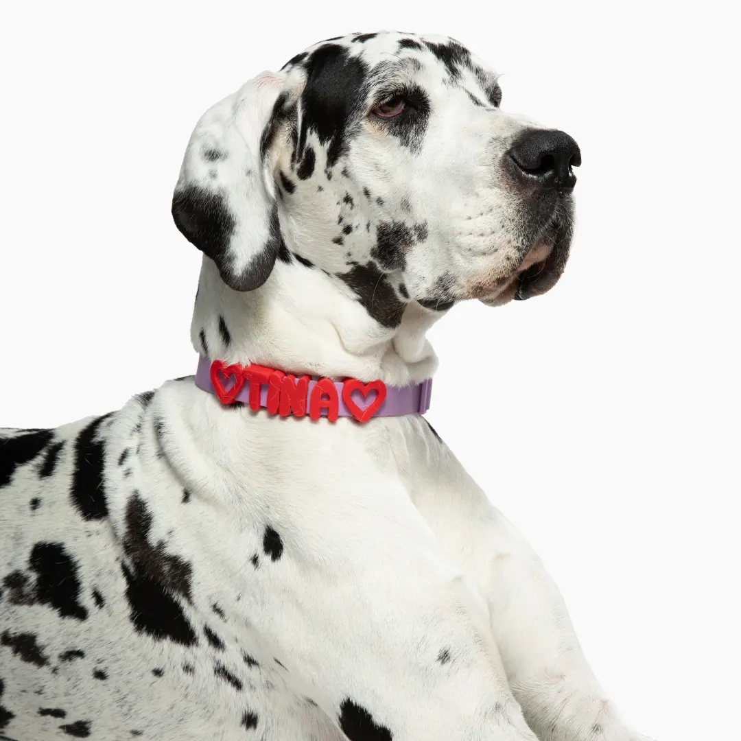 Silicone Dog Charms | Letters & Symbols for Personalized Dog Collars and Leashes - Cherry Red