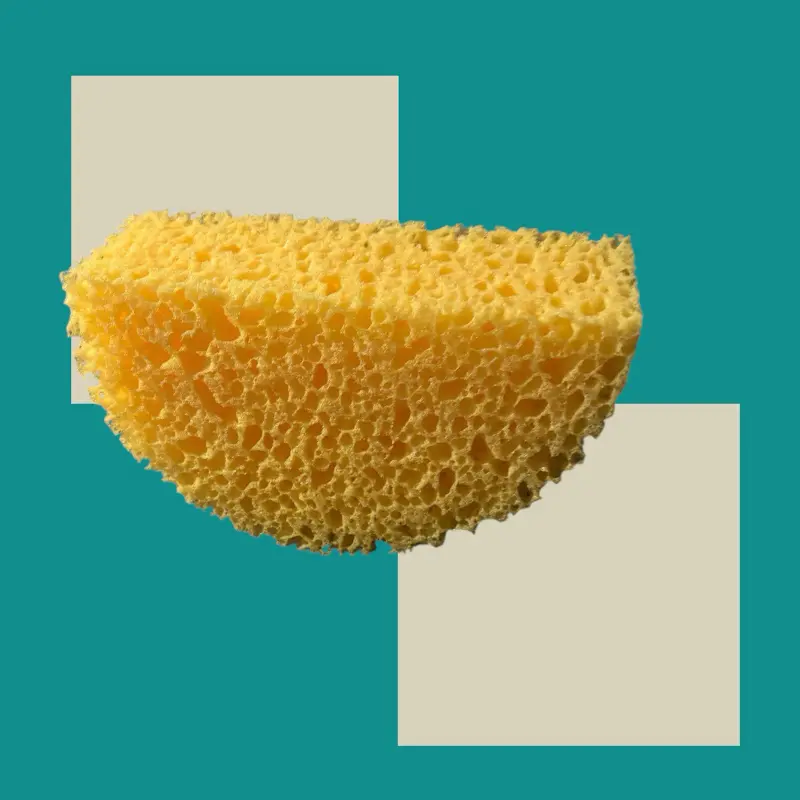 New sponge half cheese squeeze small hand friendly uses Asmr
