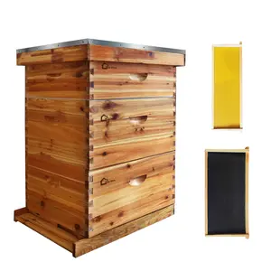 Complete Beekeeping Starter Kit – 10-Frame Langstroth Hive with 2 Deep Brood Boxes, 1 Medium Super, 100% Beeswax-Coated Cedarwood, Frames & Foundations, Honey Spout, Queen Excluder – Fundamental Beehive Components for Beginners & Professionals
