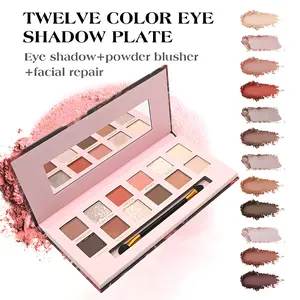 12-color multi-use makeup palette all-in-one face makeup finely milled no fallout long-lasting wear must-have for beginners & students perfect for daily commute makeup look