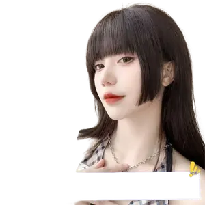 Hime Cut Style Bangs Hair Topper Real Human Hair High Root Lift Volumizing Middle Part Invisible Natural Look Top Piece for Women Wigs