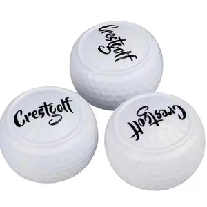 Crest Putting Golf Training Aid(Putting Ball)