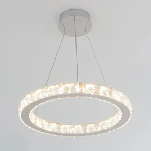 Celebrity LED pendant light