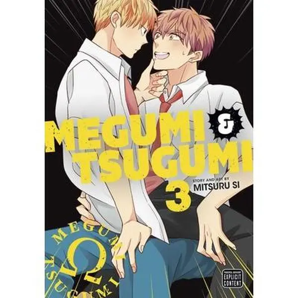 Megumi & Tsugumi, Vol. 3 -- Mitsuru Si - Paperback