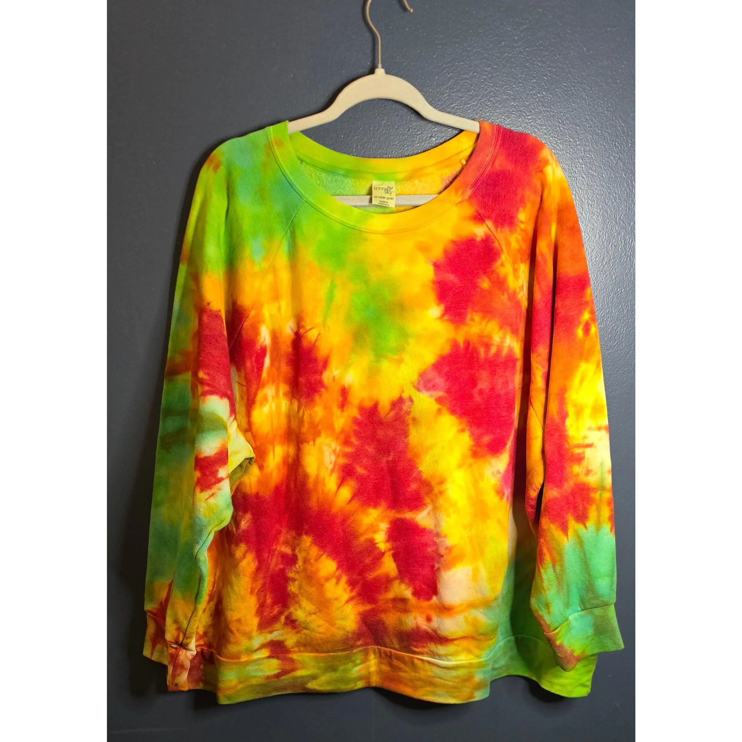 🌈 Hand-Dyed Bright Burst Sweatshirt – Terra & Sky 4X