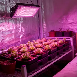 USB Powered LED Grow Lights, Grow Light for Indoor Garden Plants Full Spectrum, High Efficiency 96 LED Plant Light Promotes Germination, Flowering & Fruit Sweetness, Ideal Grow Lights for Vegetables, Herbs in Living Room, Growth Lamp
