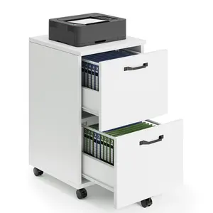 2 Drawer Rolling File Cabinet with Lockable Wheels, Mobile Printer Stand with Storage, Steel Frame, White, 1 Set