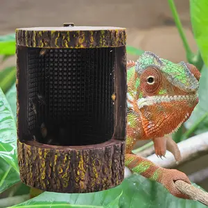 Feeding Dish for Reptiles, Feeder Tray for Lizards & Bearded Dragons, Ideal Habitat Accessory for Pet Care, Enhances Nutrition