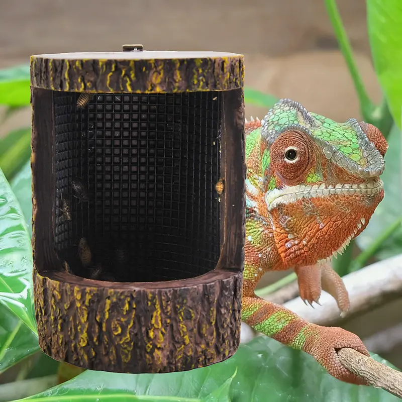 Feeding Dish for Reptiles, Feeder Tray for Lizards & Bearded Dragons, Ideal Habitat Accessory for Pet Care, Enhances Nutrition