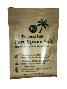 Premium Epsom Salt Magnesium Sulfate for Palm and Plants