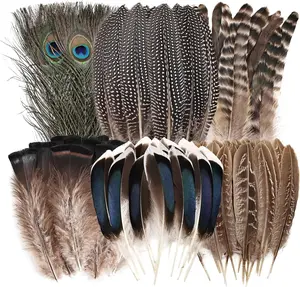 Natural Feathers Bulk - 55PCS - 6 Styles Assorted Natural Feathers, Peacock Feathers, Pheasant Feathers, Turkey Feathers for DIY Crafts, Wedding, Crafting Supplies whitefeather