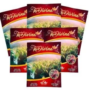 Te Divina - buy 4 Get 2 free, Natural Herbal Tea caffeine-Free, Infused With Reishi Premium Beverage