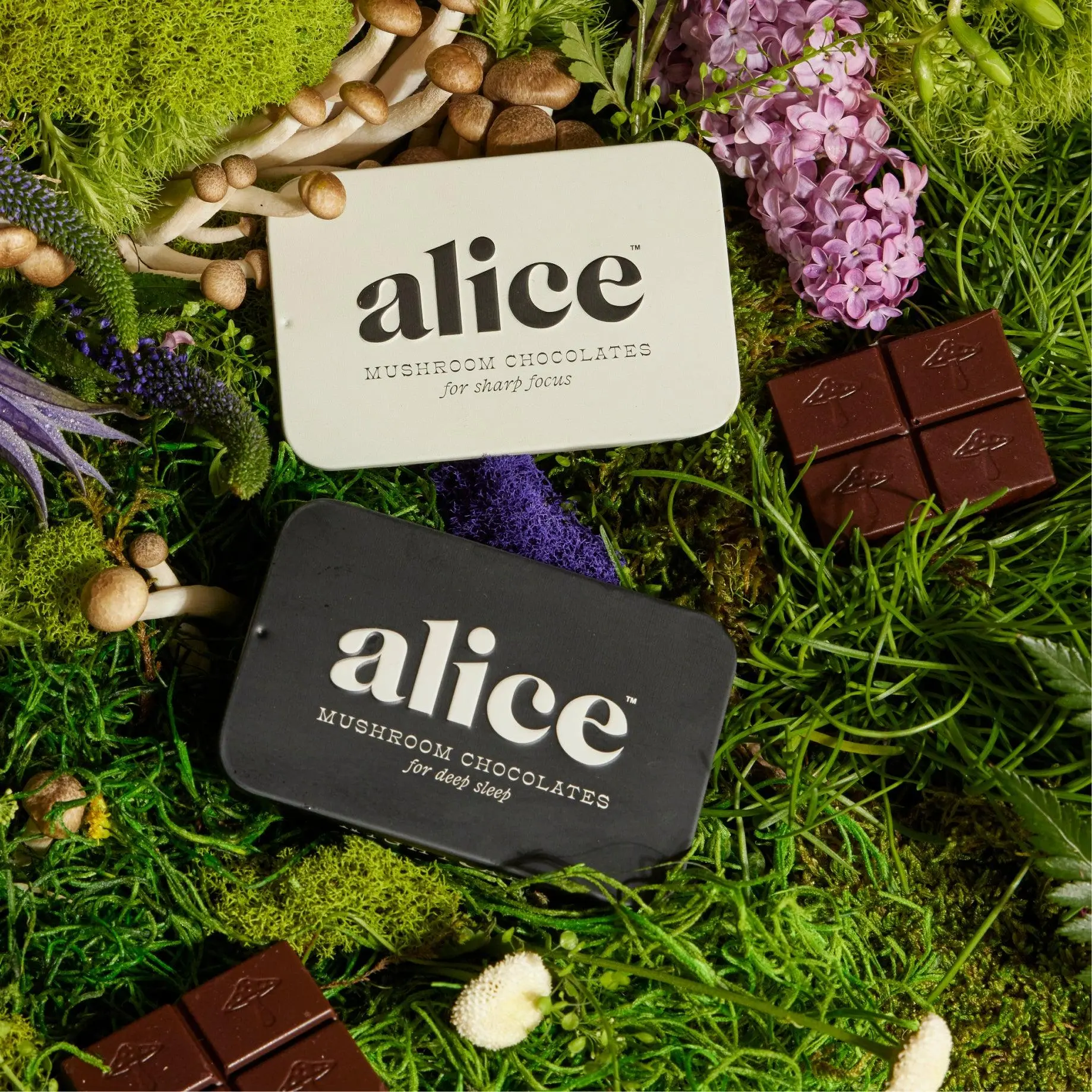 Everyday Duo - Brainstorm and Nightcap Functional Mushroom Chocolates